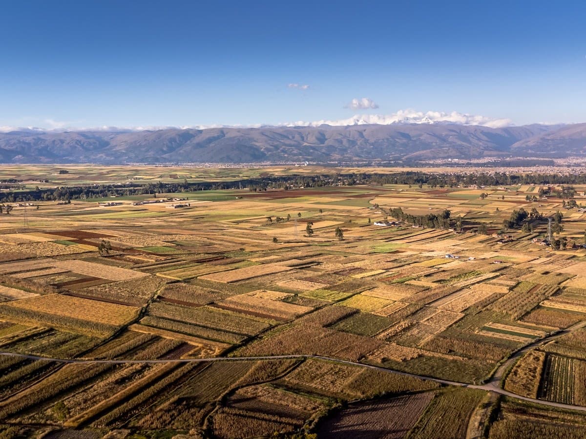 Vista aérea de vastos campos agrícolas con montañas nevadas al fondo en el Perú